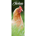 Avonside Calendrier des poulets 2025 Slimline