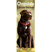 Avonside Calendario Labrador Retriever Marrón 2025 Slimline