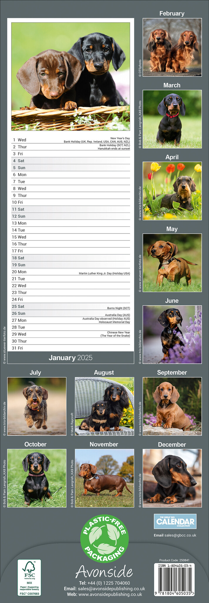 Buy Dachshund Calendar 2025 Slimline | simply order online