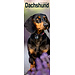 Avonside Dachshund Calendar 2025 Slimline