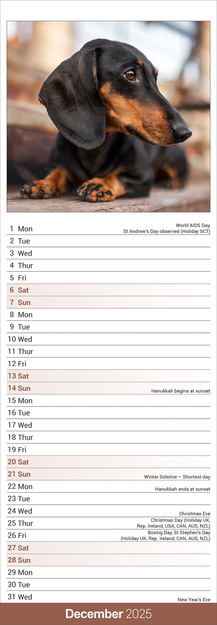 Buy Dachshund Calendar 2025 Slimline simply order online