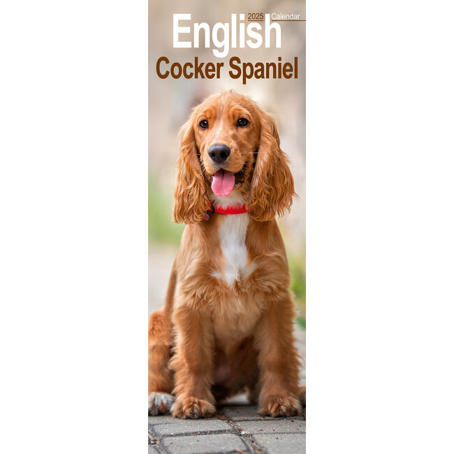 Calendario Cocker Spaniel Inglés 2025 Slimline