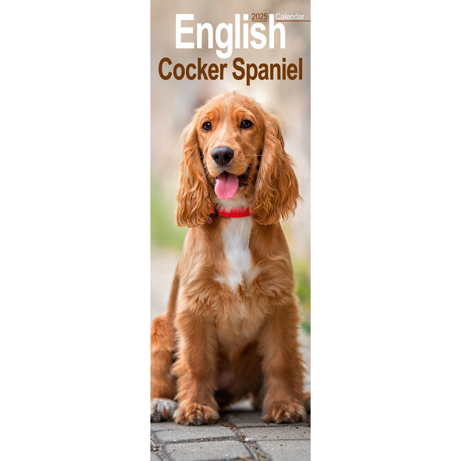 English Cocker Spaniel Calendar 2025 Slimline