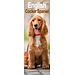 Avonside Calendario Cocker Spaniel Inglés 2025 Slimline