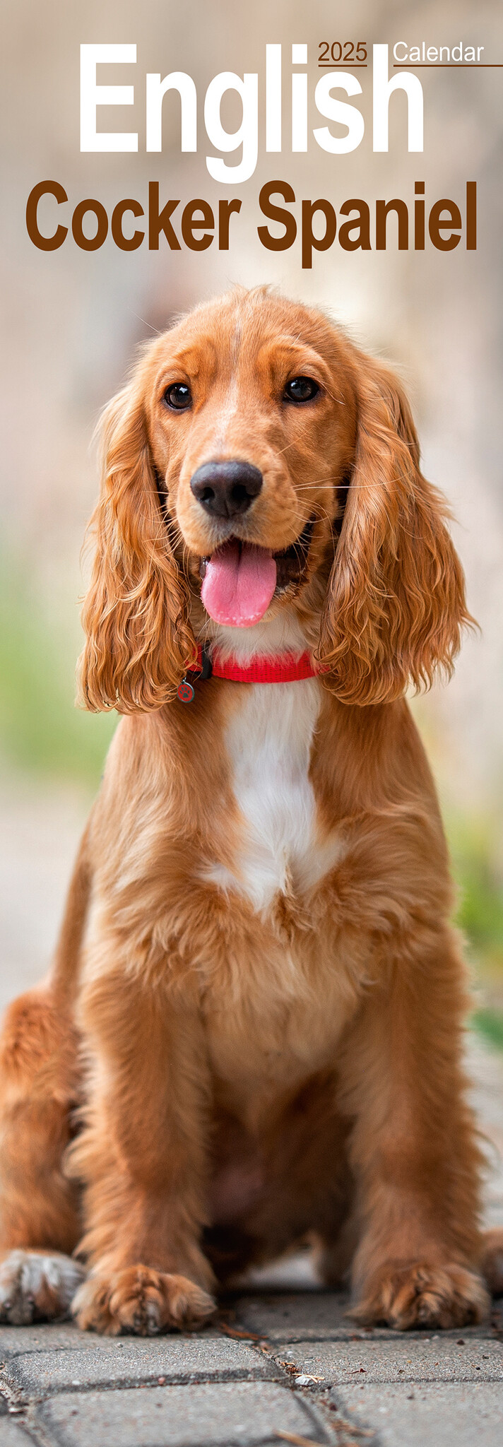 Engelse Cocker Spaniel Kalender 2025 Slimline