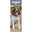 Avonside English Springer Spaniel Kalender 2025 Slimline