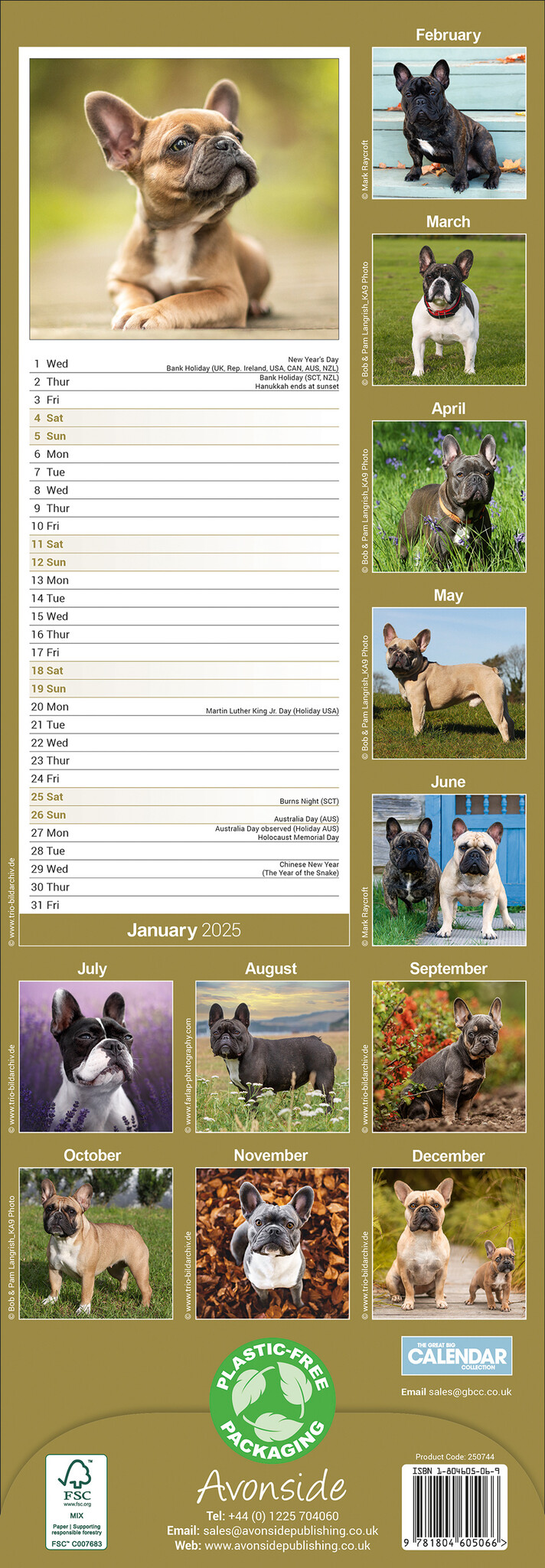 Französische Bulldogge Kalender 2025 Slimline  bestellen einfach kaufen - Kalenderwinkel.nl