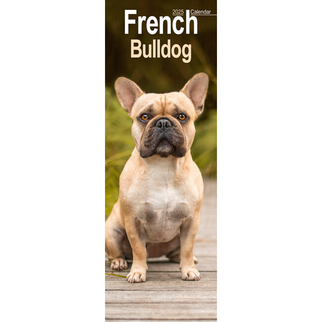 Calendrier Bouledogue Français 2025 Slimline