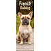 Avonside Calendario Bulldog francese 2025 Slimline