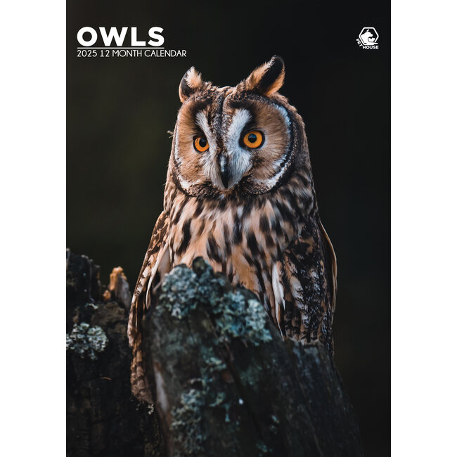 CalendarsRUs Owls A3 Calendar 2025