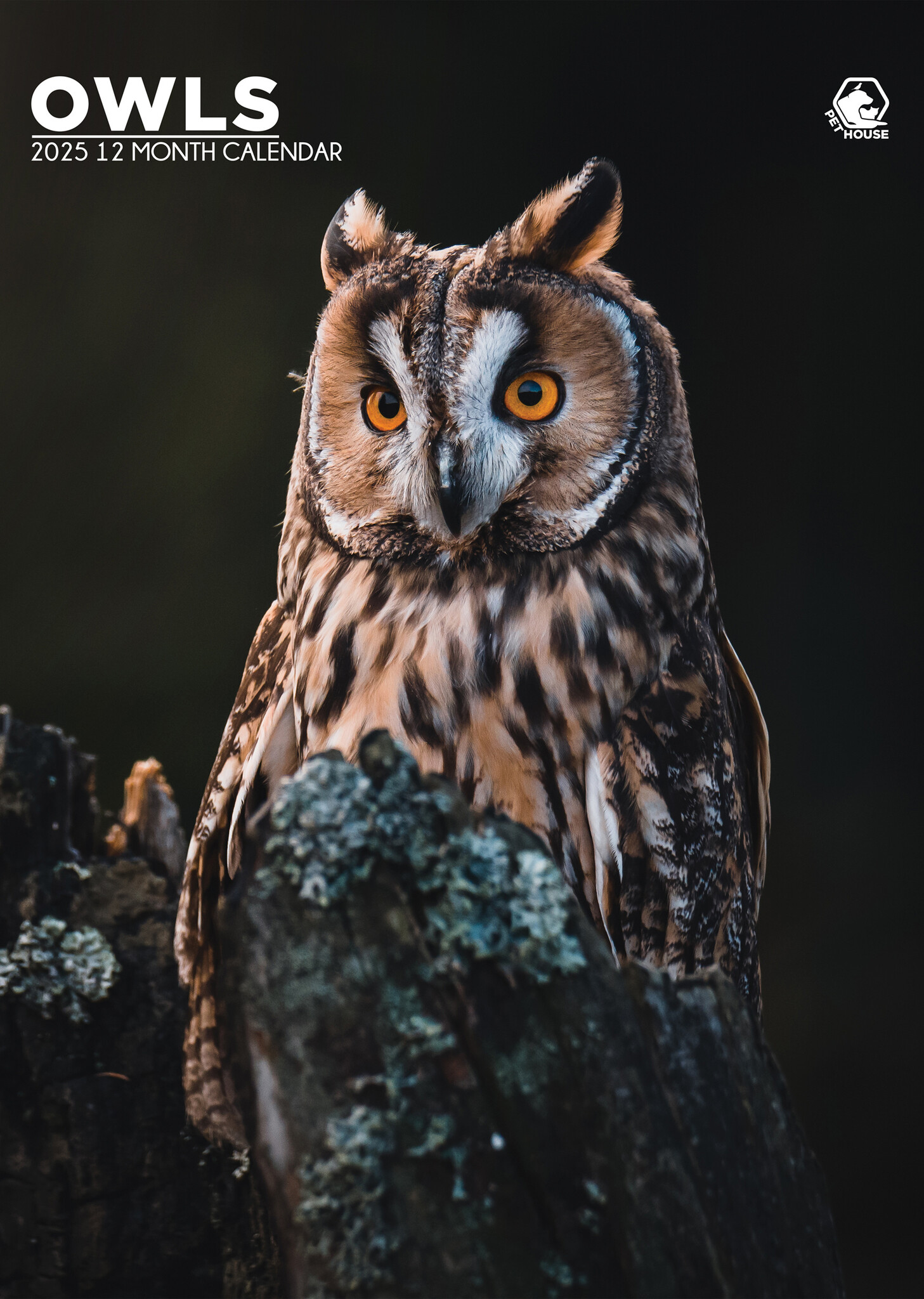 Eulen A3 Kalender 2025 kaufen? Schnell und einfach online bestellen
