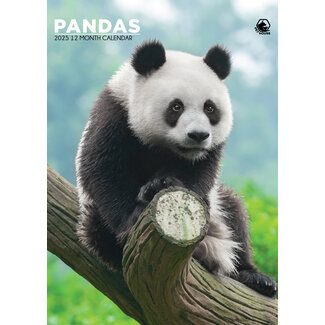 CalendarsRUs Calendario A3 Pandas 2025
