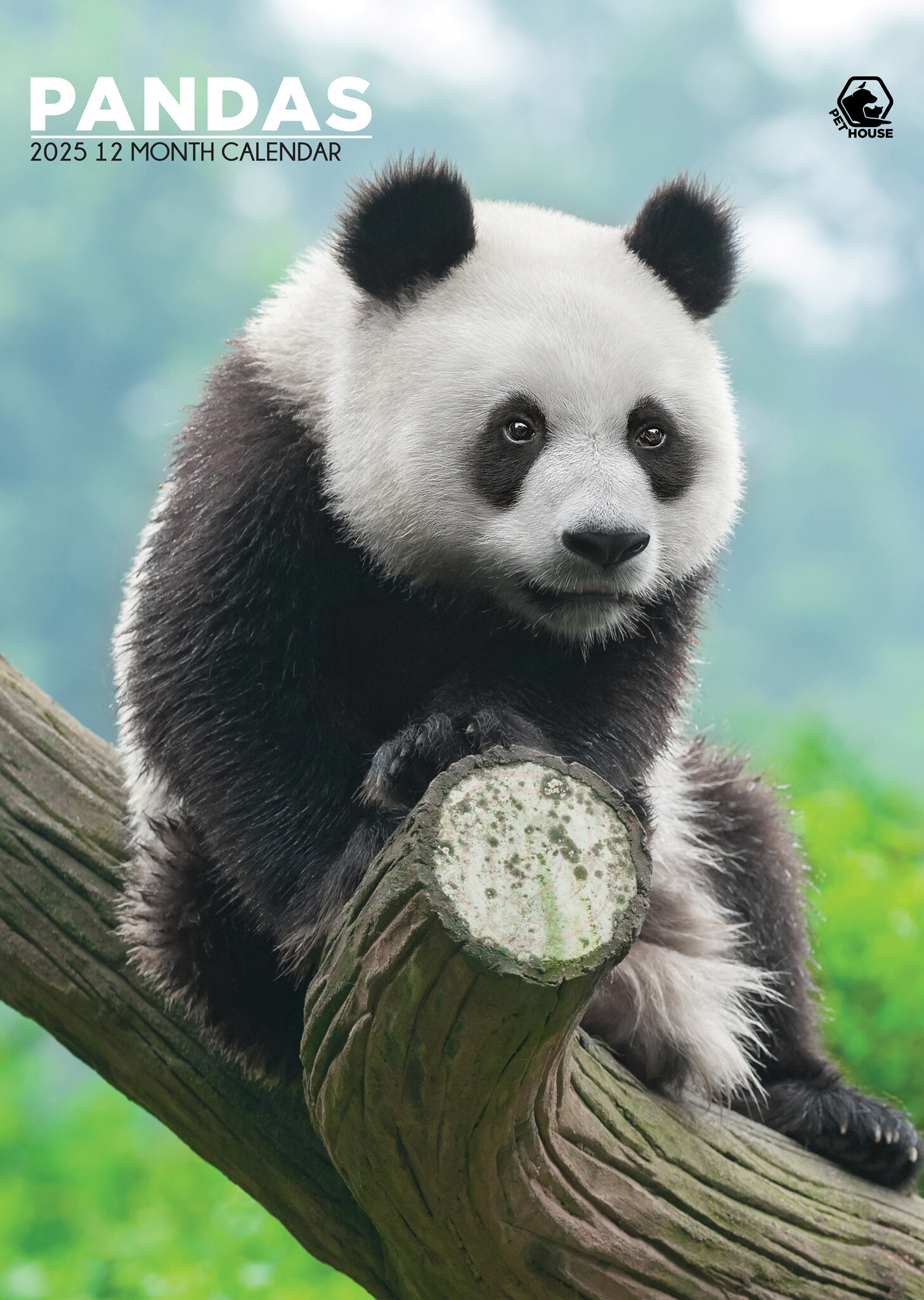 Panda's A3 Kalender 2025 Kopen? Bestel eenvoudig en snel Online ...