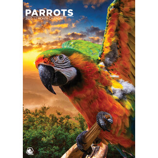 CalendarsRUs Parrots A3 Calendar 2025