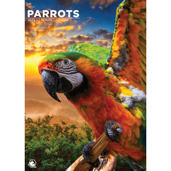 Papageien A3 Kalender 2025