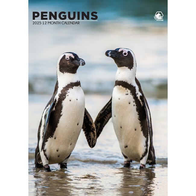 Penguins A3 Calendar 2025
