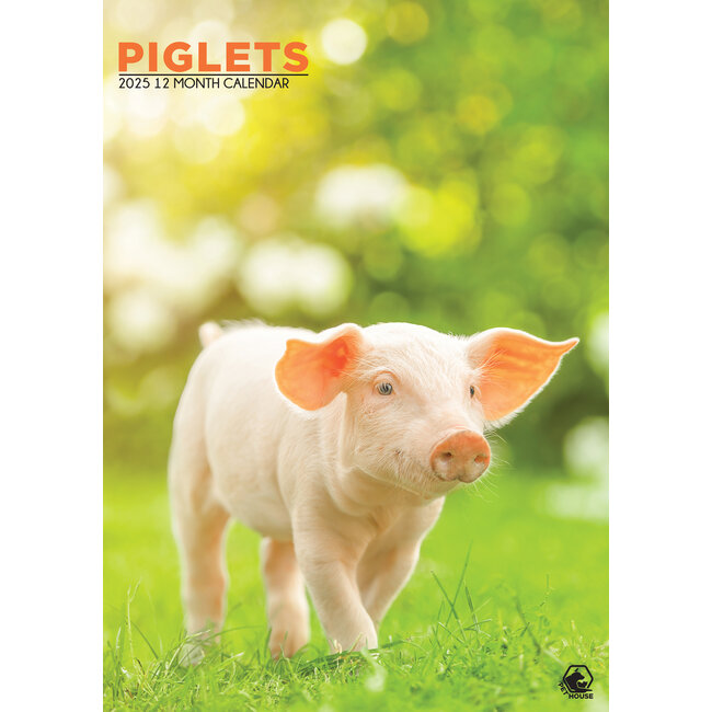 Pig A3 Calendar 2025