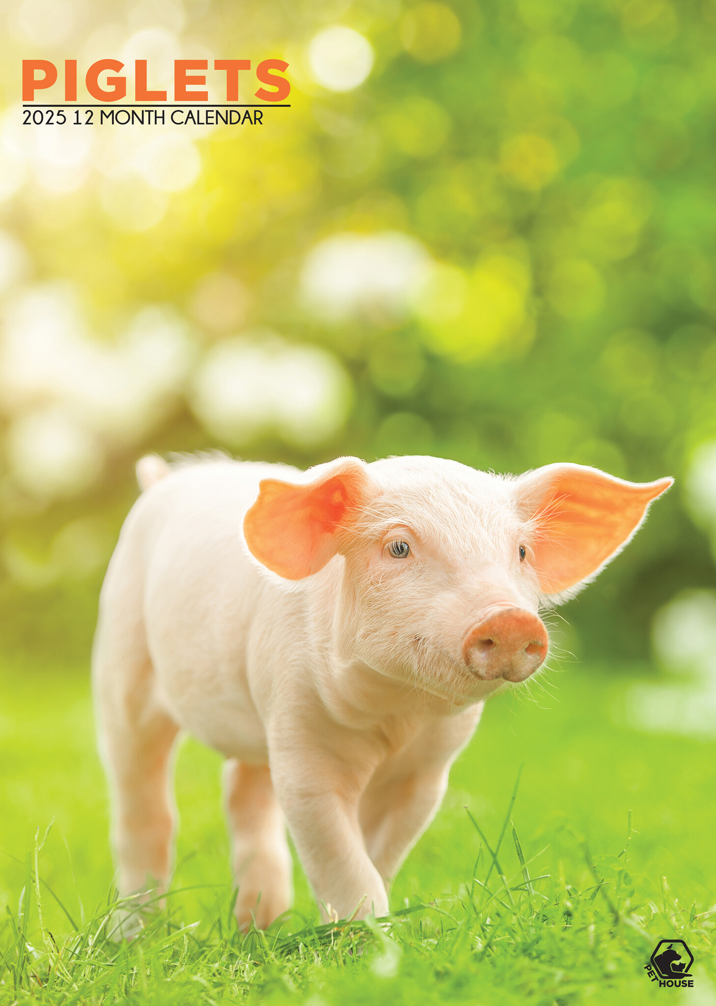 Pig A3 Calendar 2025 Order easily and quickly Online. Kalenderwinkel.nl