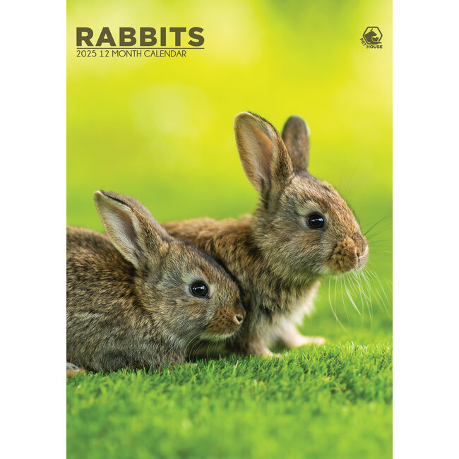 Rabbits A3 Calendar 2025