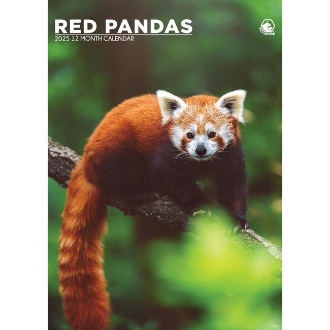 Calendario A3 Panda Rosso 2025