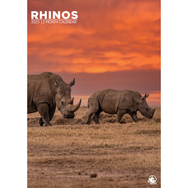 Rhinos A3 Calendar 2025