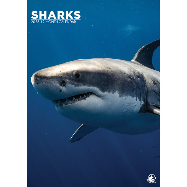 Sharks A3 Calendar 2025 Order easily and quickly Online Kalenderwinkel.nl