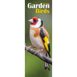 Avonside Calendario de aves de jardín 2025 Slimline