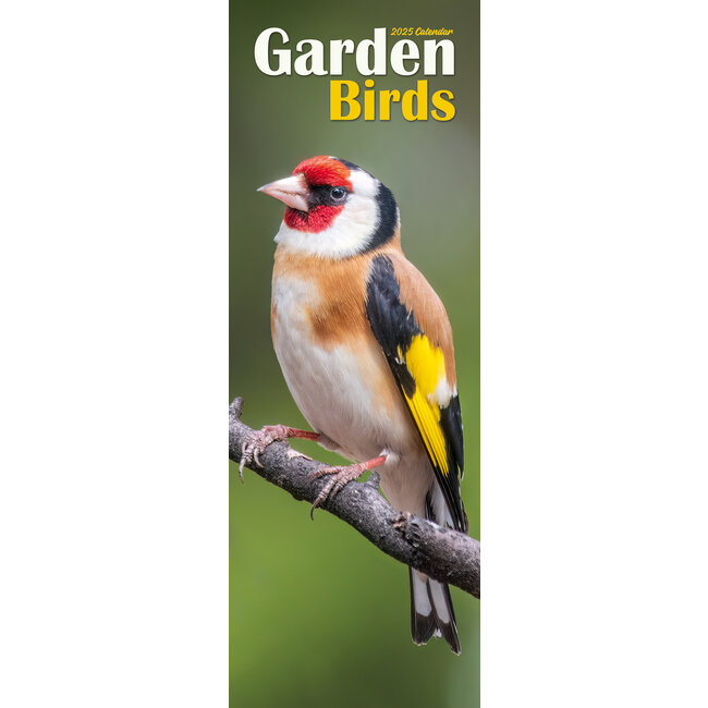 Avonside Calendrier des oiseaux de jardin 2025 Slimline