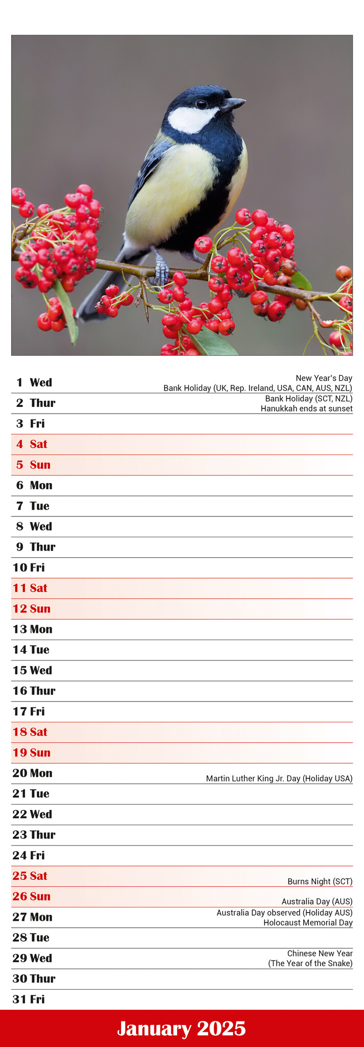 Buy Garden Birds Calendar 2025 Slimline | simply order online