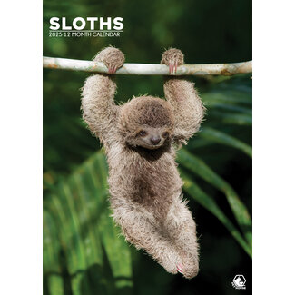 CalendarsRUs Sloths A3 Calendar 2025