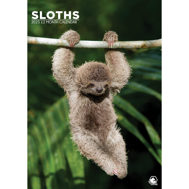 Sloths A3 Calendar 2025