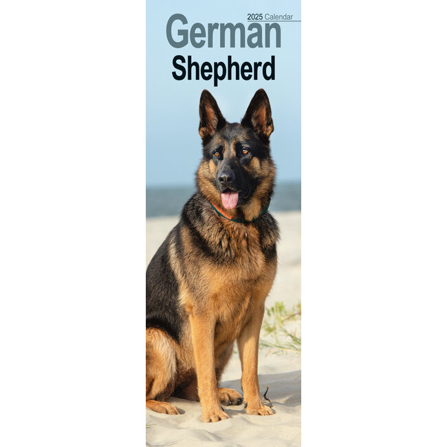 Deutscher Schäferhund Kalender 2025 Slimline
