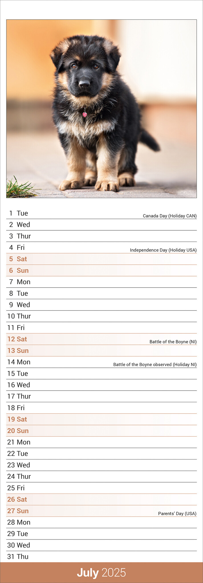 German Shepherd Calendar 2025 Slimline Buy order online easily