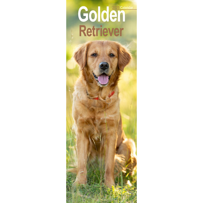 Golden Retriever Calendar 2025 Slimline