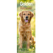 Avonside Calendario Golden Retriever 2025 Slimline