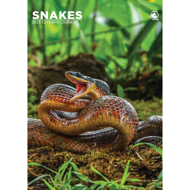 Serpientes Calendario A3 2025