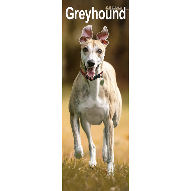 Calendrier Greyhound 2025 Slimline