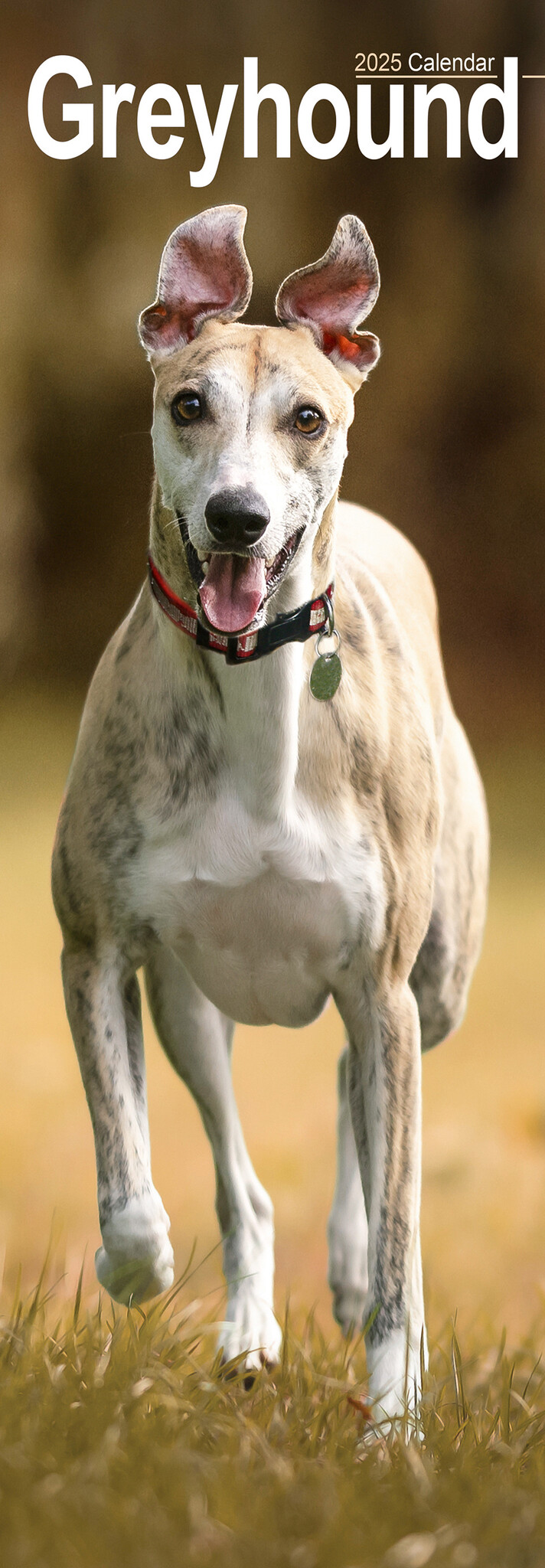 Buy Greyhound Calendar 2025 Slimline simply order online