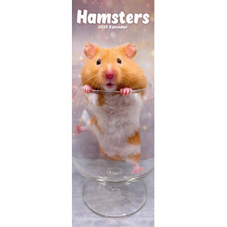 Avonside Hamster Kalender 2025 Slimline