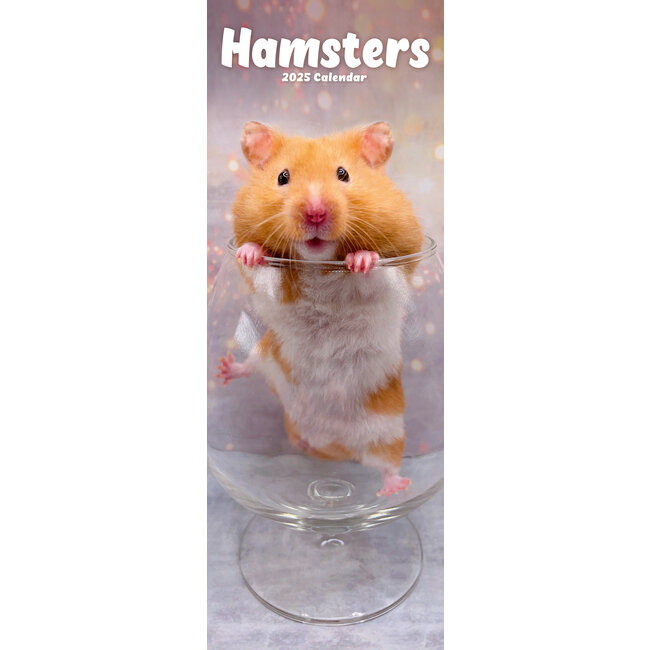 Avonside Hamster Calendar 2025 Slimline
