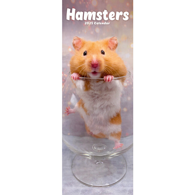 Buy Hamster Calendar 2025 Slimline order online easily