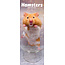 Avonside Calendrier Hamster 2025 Slimline