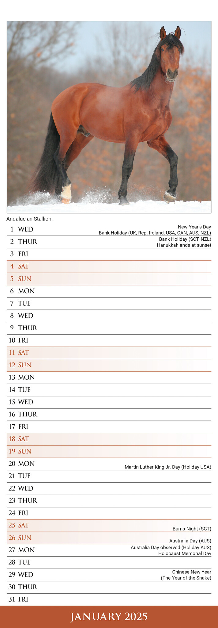 Paarden Kalender 2025 Slimline Kopen? Bestel eenvoudig online