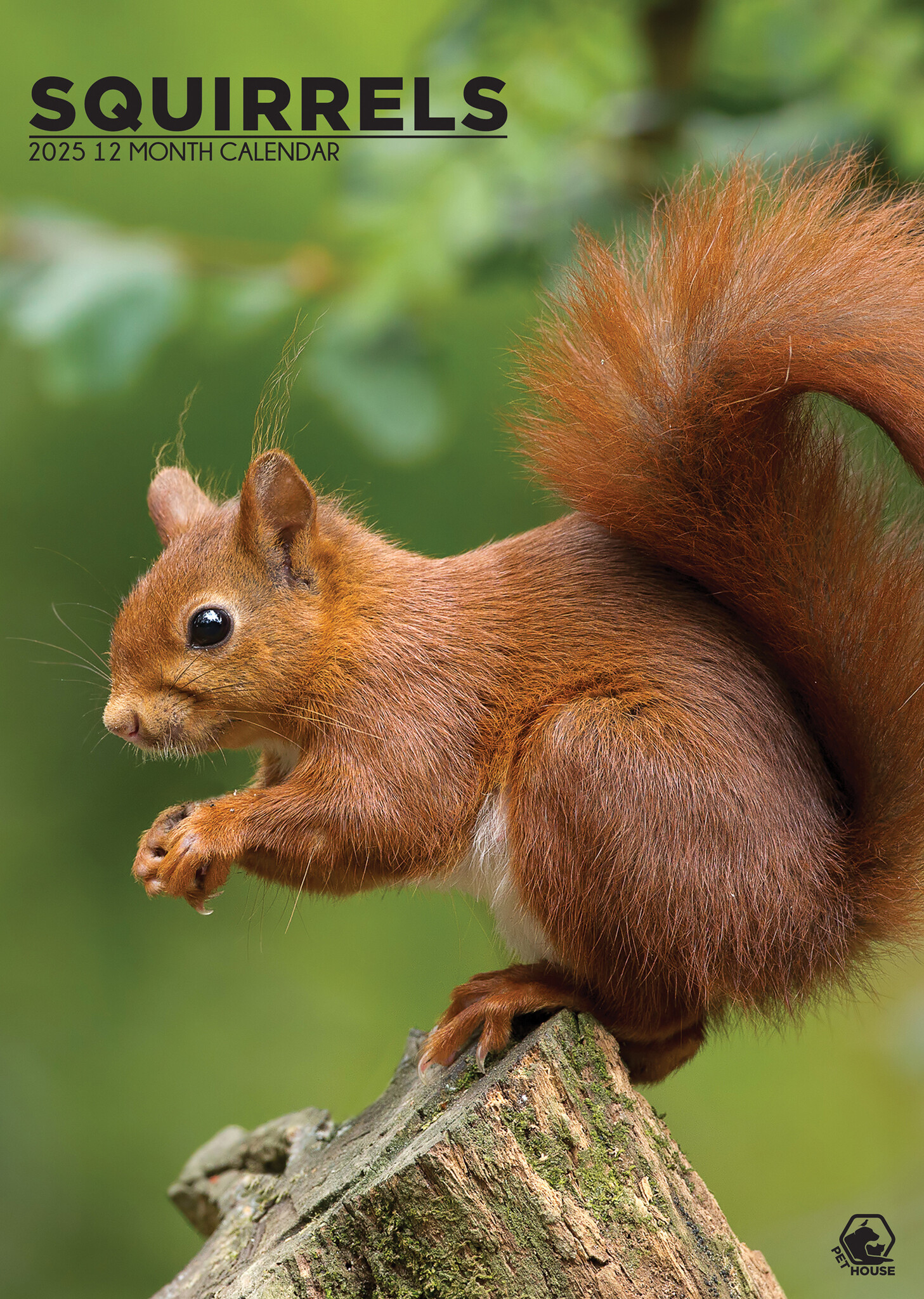 Squirrel A3 Calendar 2025 Order easily and quickly Online