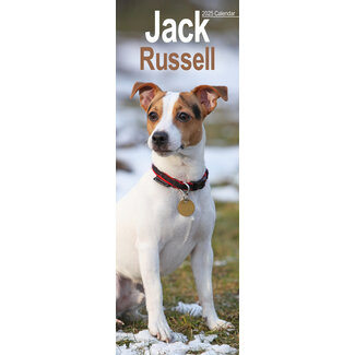Avonside Calendario Jack Russell Terrier 2025 Slimline