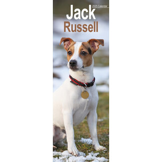 Avonside Jack Russell Terrier Calendrier 2025 Slimline