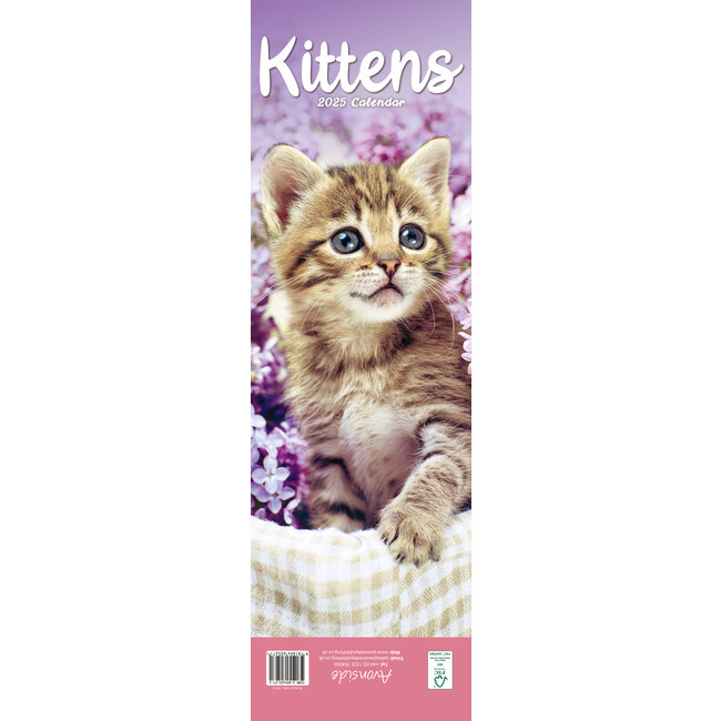 Avonside Kittens Calendar 2025 Slimline