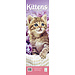 Avonside Kittens Calendar 2025 Slimline