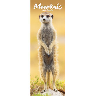 Avonside Calendario Meerkats 2025 Slimline