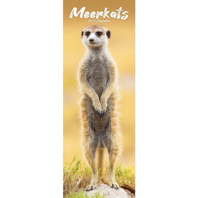 Meerkats Calendar 2025 Slimline